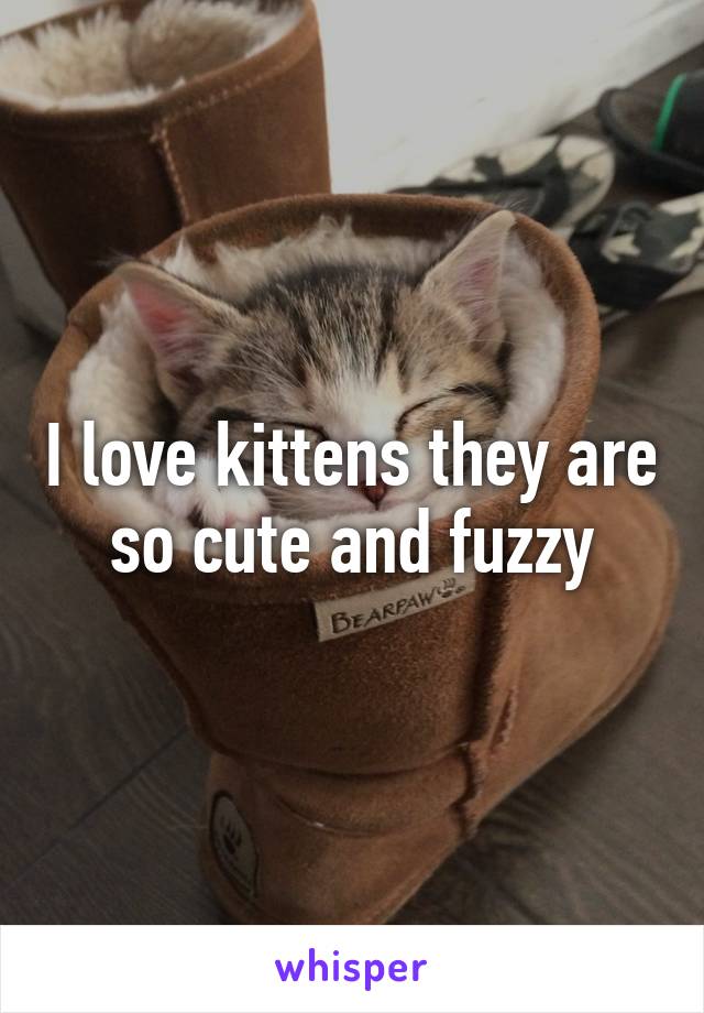 I love kittens they are so cute and fuzzy