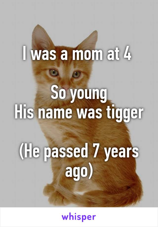 I was a mom at 4 

So young
His name was tigger 
(He passed 7 years ago)