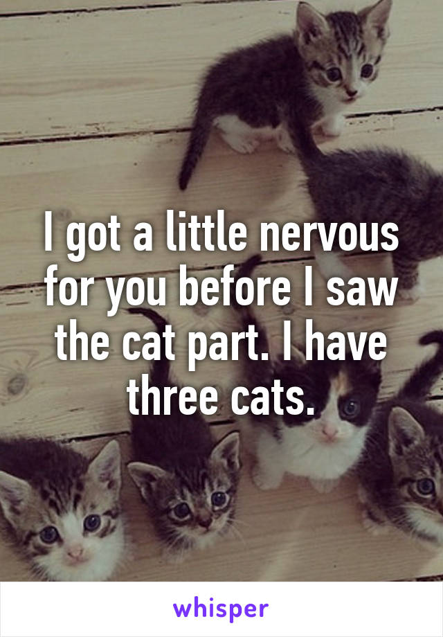 I got a little nervous for you before I saw the cat part. I have three cats.