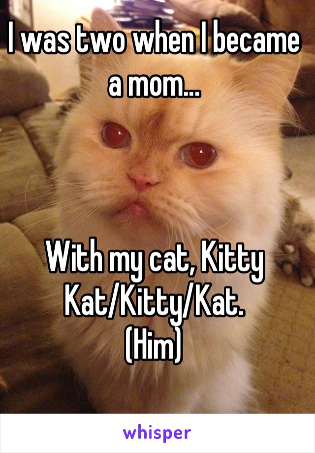 I was two when I became a mom...



With my cat, Kitty Kat/Kitty/Kat.
(Him)