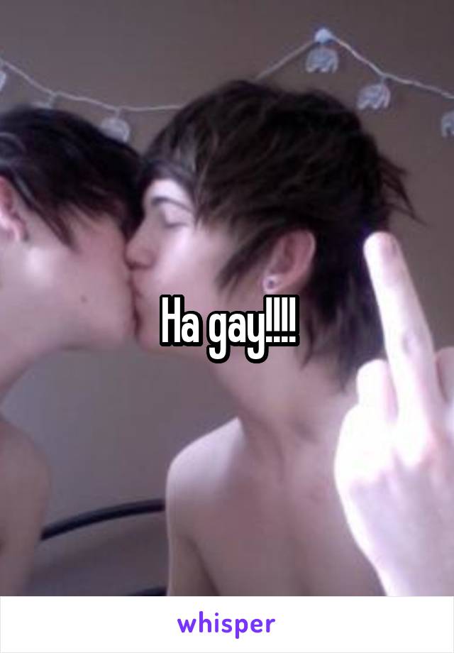 Ha gay!!!!