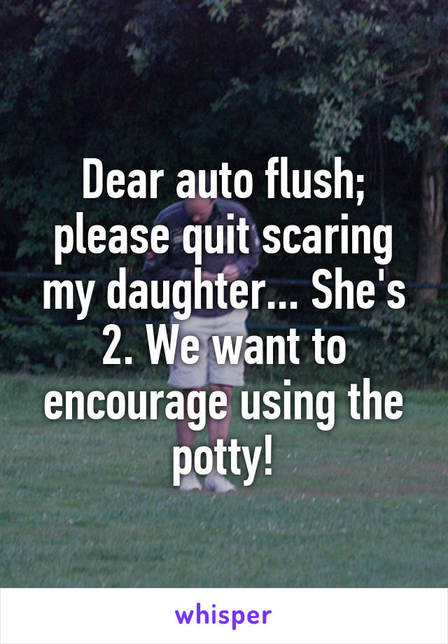 Dear auto flush; please quit scaring my daughter... She's 2. We want to encourage using the potty!