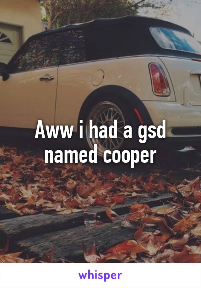 Aww i had a gsd named cooper