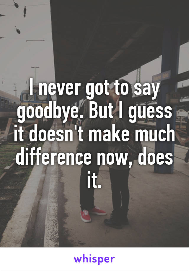 I never got to say goodbye. But I guess it doesn't make much difference now, does it.