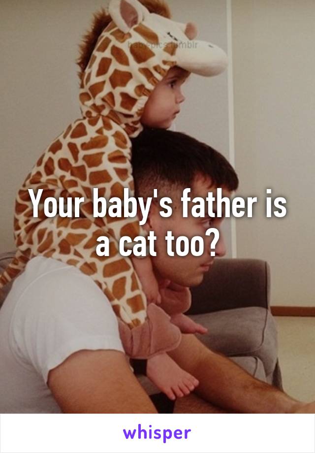 Your baby's father is a cat too?