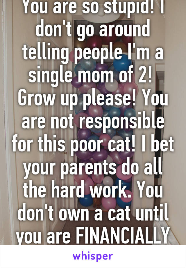 You are so stupid! I don't go around telling people I'm a single mom of 2!  Grow up please! You are not responsible for this poor cat! I bet your parents do all the hard work. You don't own a cat until you are FINANCIALLY responsible  