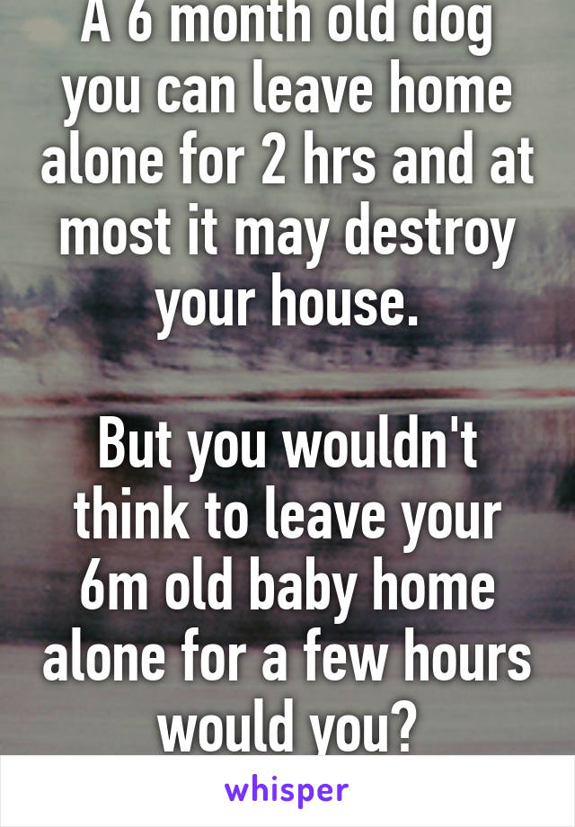 A 6 month old dog you can leave home alone for 2 hrs and at most it may destroy your house.

But you wouldn't think to leave your 6m old baby home alone for a few hours would you?
#SIDS