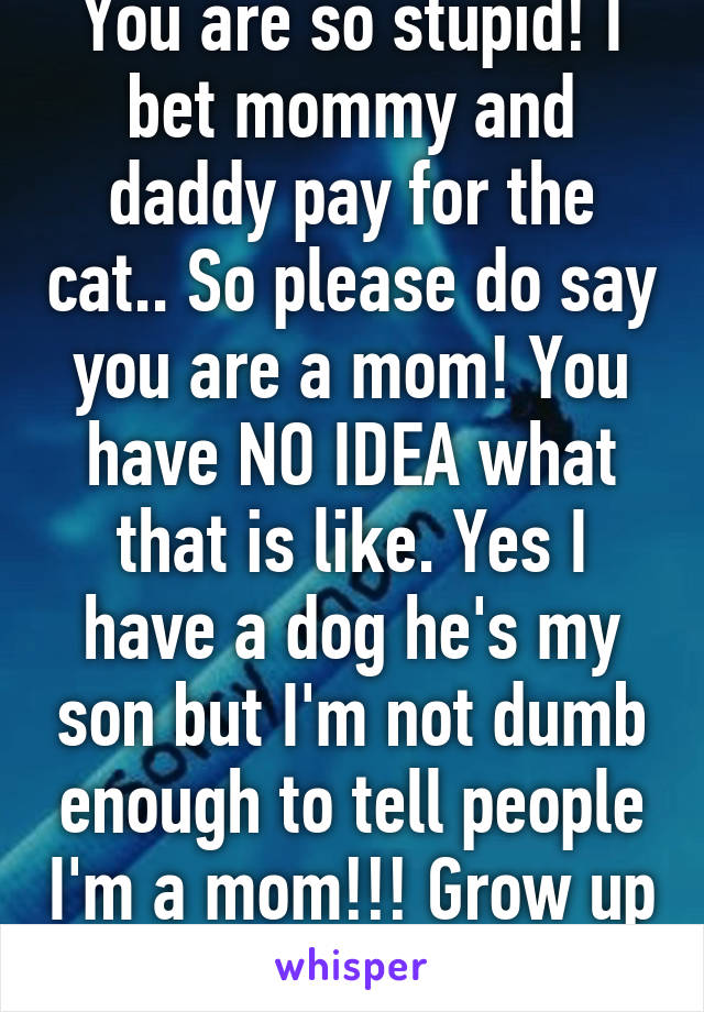 You are so stupid! I bet mommy and daddy pay for the cat.. So please do say you are a mom! You have NO IDEA what that is like. Yes I have a dog he's my son but I'm not dumb enough to tell people I'm a mom!!! Grow up 