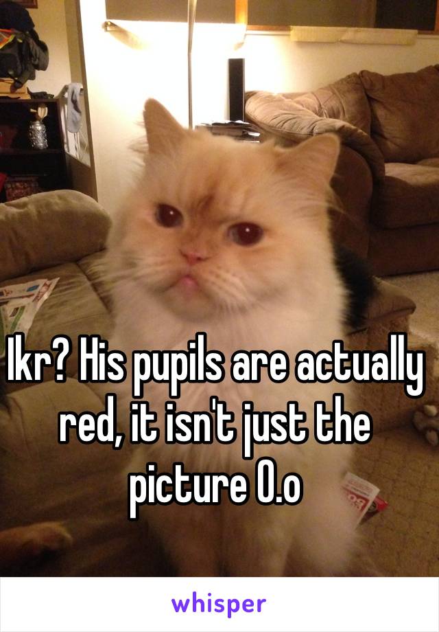 Ikr? His pupils are actually red, it isn't just the picture O.o