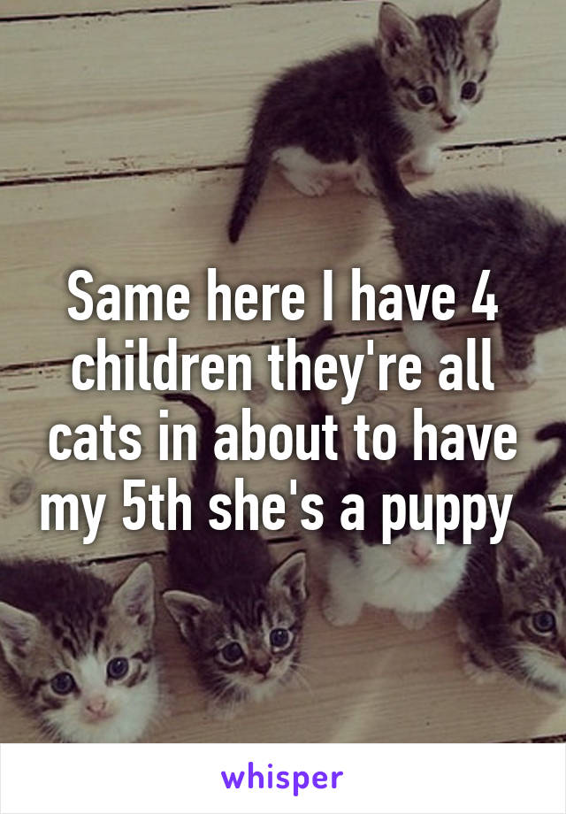 Same here I have 4 children they're all cats in about to have my 5th she's a puppy 