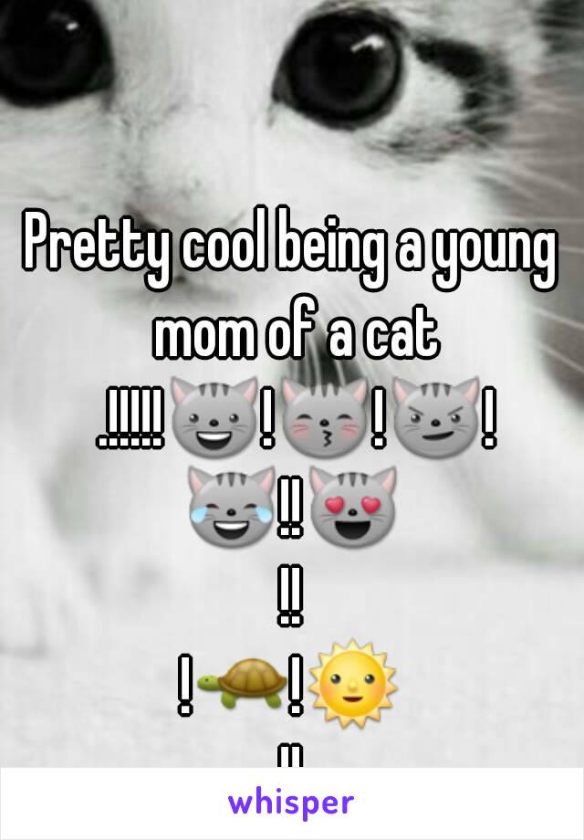 Pretty cool being a young mom of a cat .!!!!!😺!😽!😼!😹!!😻!!
!🐢!🌞!!