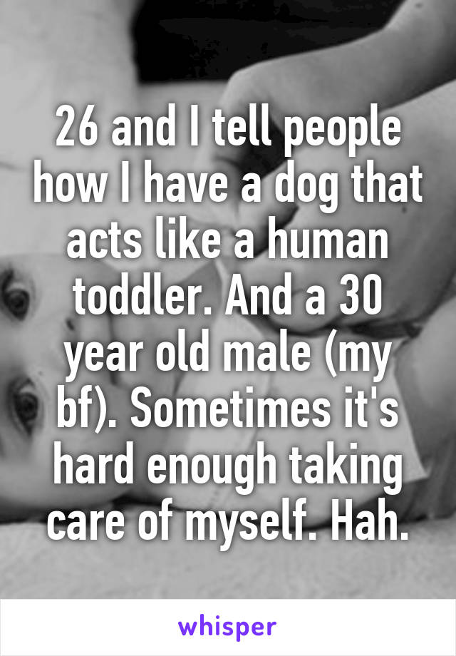 26 and I tell people how I have a dog that acts like a human toddler. And a 30 year old male (my bf). Sometimes it's hard enough taking care of myself. Hah.