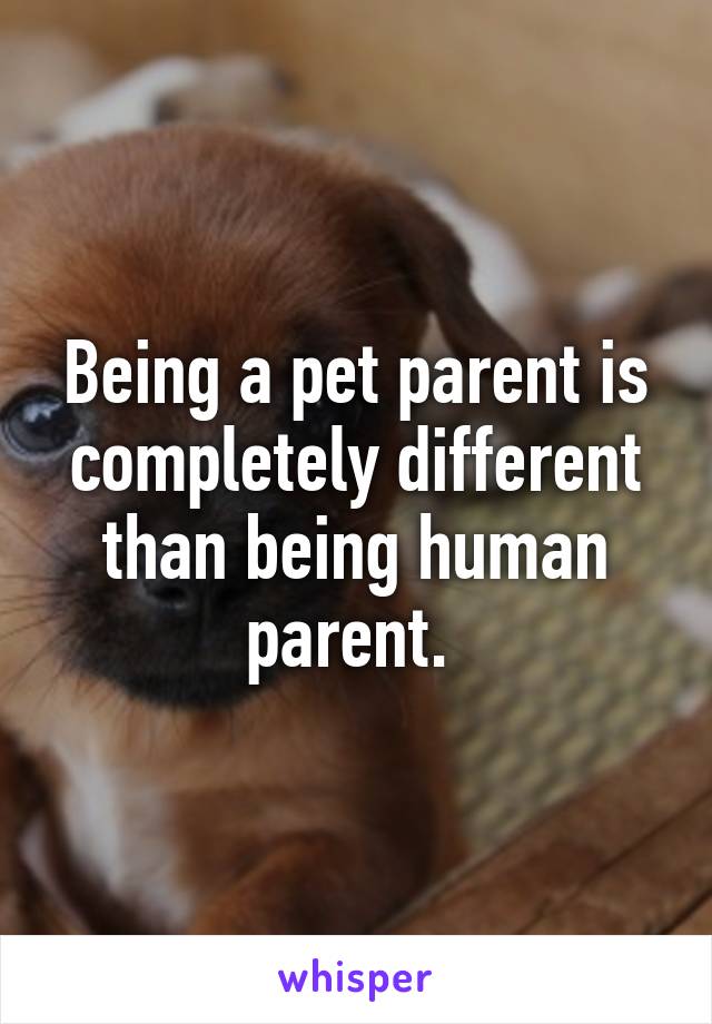 Being a pet parent is completely different than being human parent. 