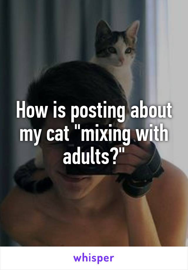 How is posting about my cat "mixing with adults?"