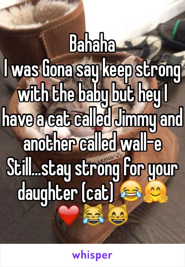 Bahaha 
I was Gona say keep strong with the baby but hey I have a cat called Jimmy and another called wall-e 
Still...stay strong for your daughter (cat) 😂🤗❤️😹😸