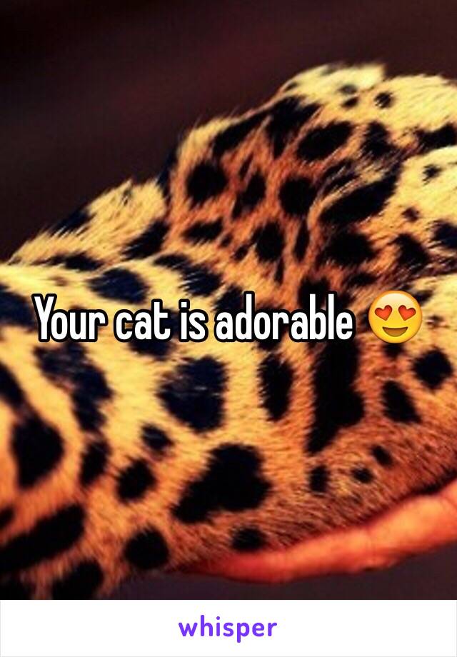 Your cat is adorable 😍