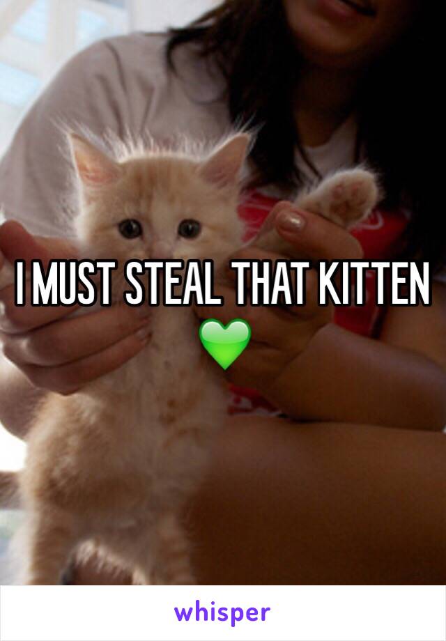 I MUST STEAL THAT KITTEN 💚