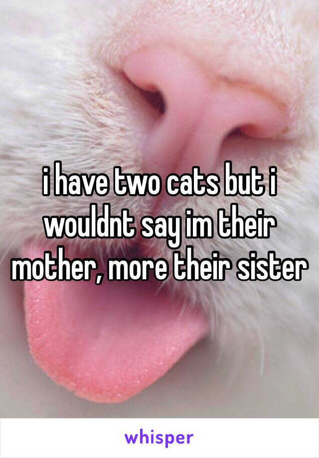 i have two cats but i wouldnt say im their mother, more their sister