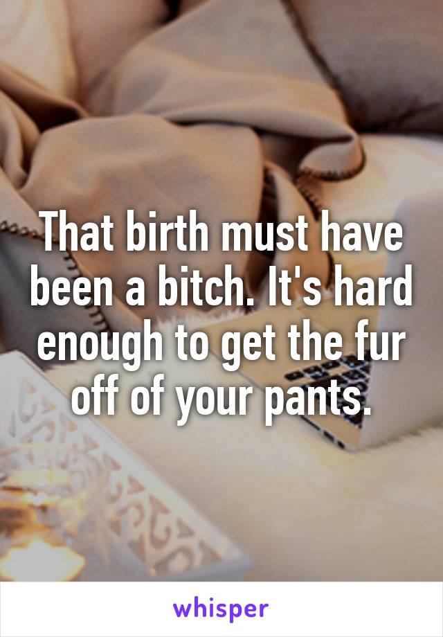 That birth must have been a bitch. It's hard enough to get the fur off of your pants.