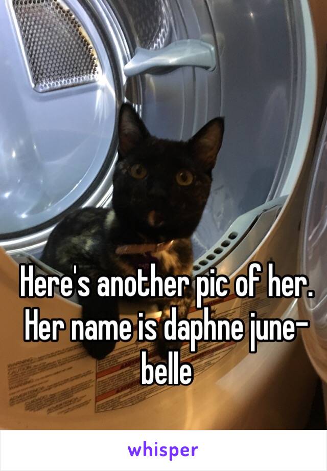 Here's another pic of her. Her name is daphne june-belle