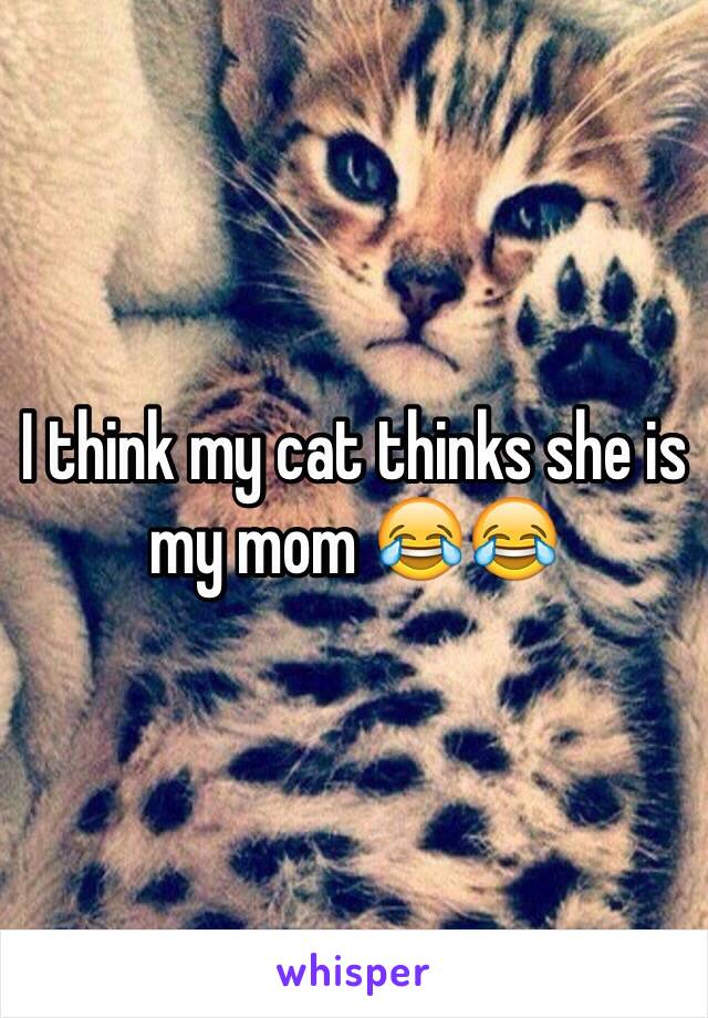 I think my cat thinks she is my mom 😂😂