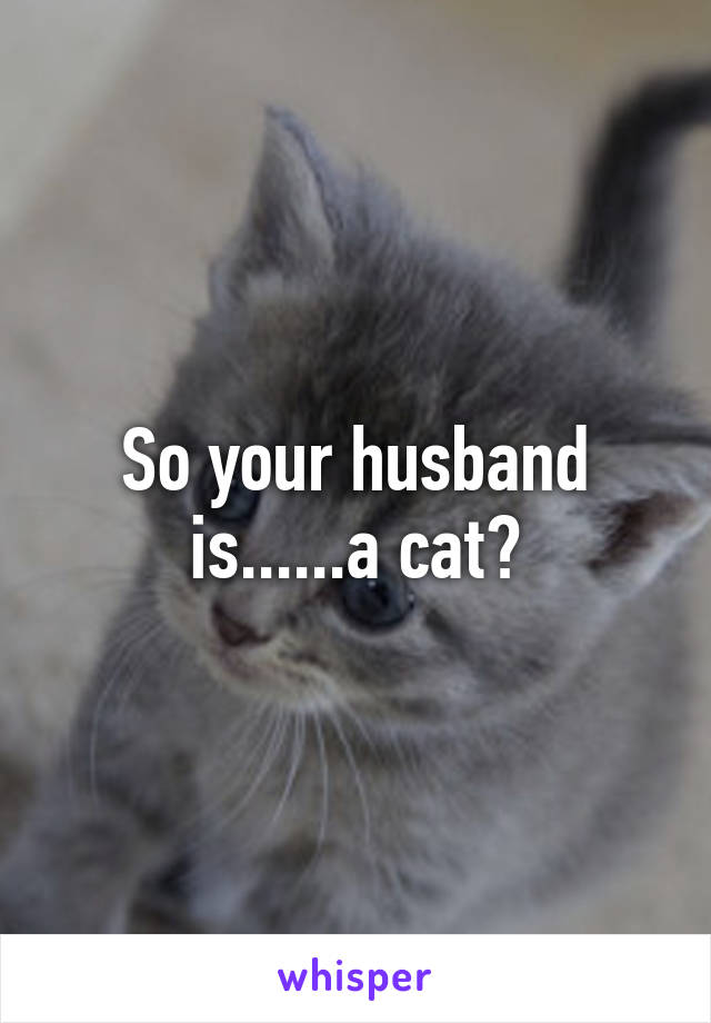 So your husband is......a cat?