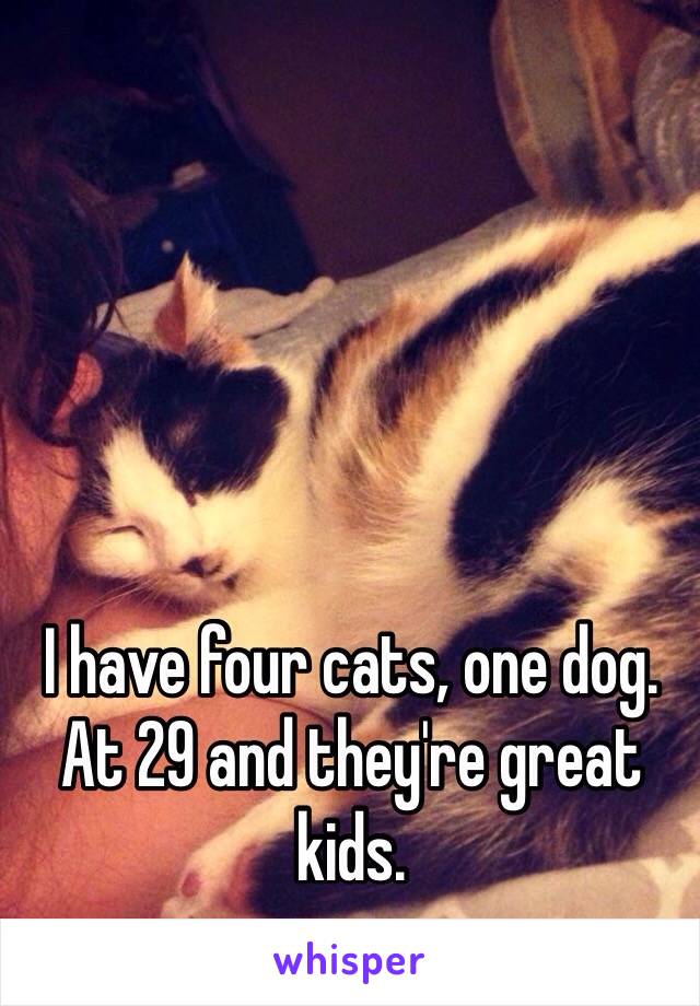 I have four cats, one dog.
At 29 and they're great kids. 