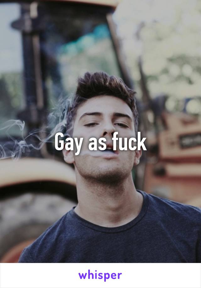 Gay as fuck