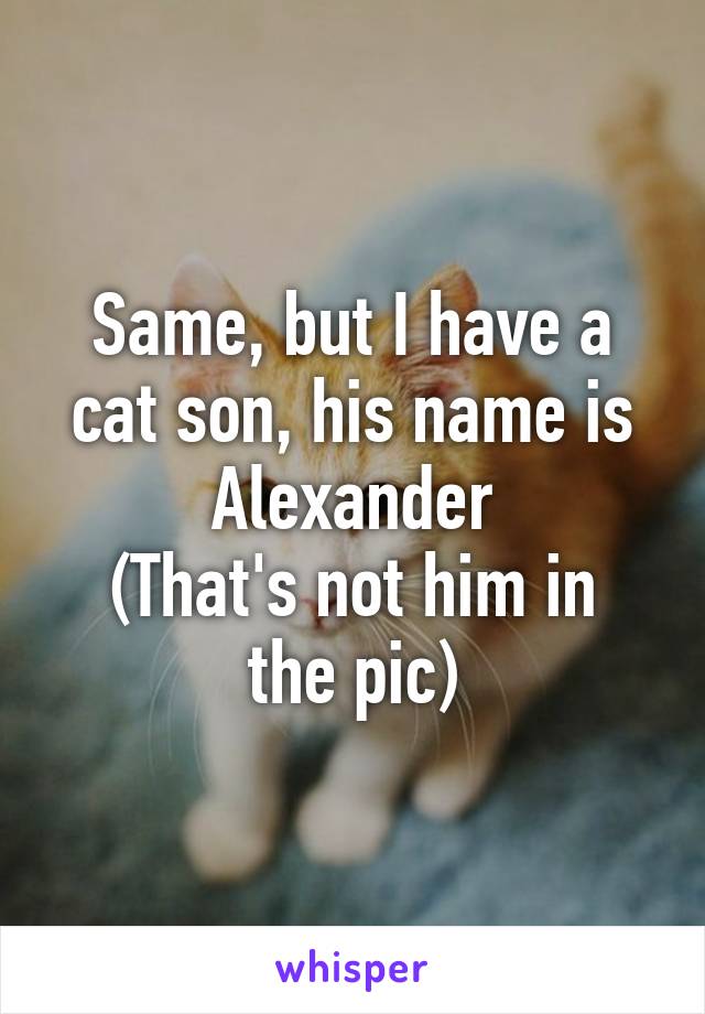 Same, but I have a cat son, his name is Alexander
(That's not him in the pic)