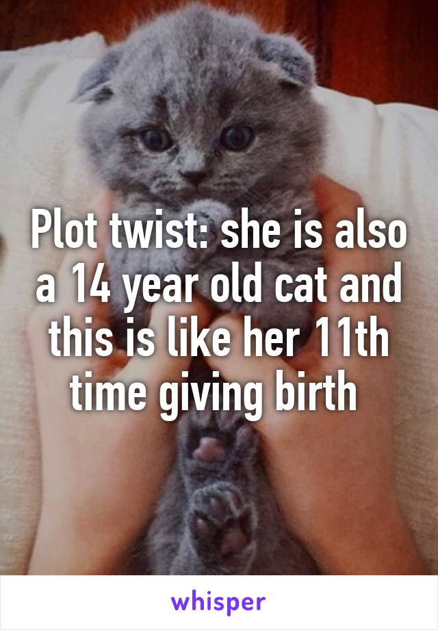 Plot twist: she is also a 14 year old cat and this is like her 11th time giving birth 