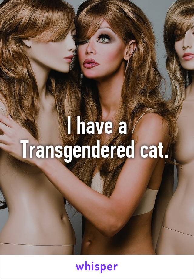 I have a Transgendered cat. 