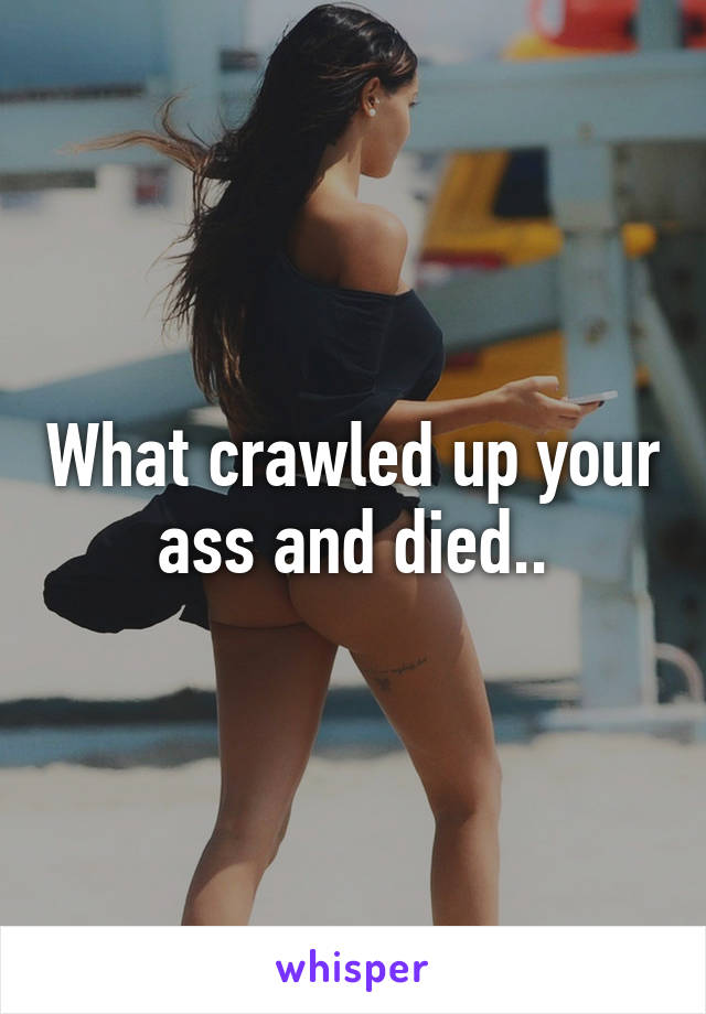 What crawled up your ass and died..