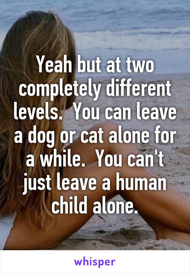 Yeah but at two completely different levels.  You can leave a dog or cat alone for a while.  You can't just leave a human child alone.