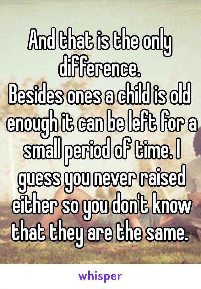 And that is the only difference. 
Besides ones a child is old enough it can be left for a small period of time. I guess you never raised either so you don't know that they are the same. 