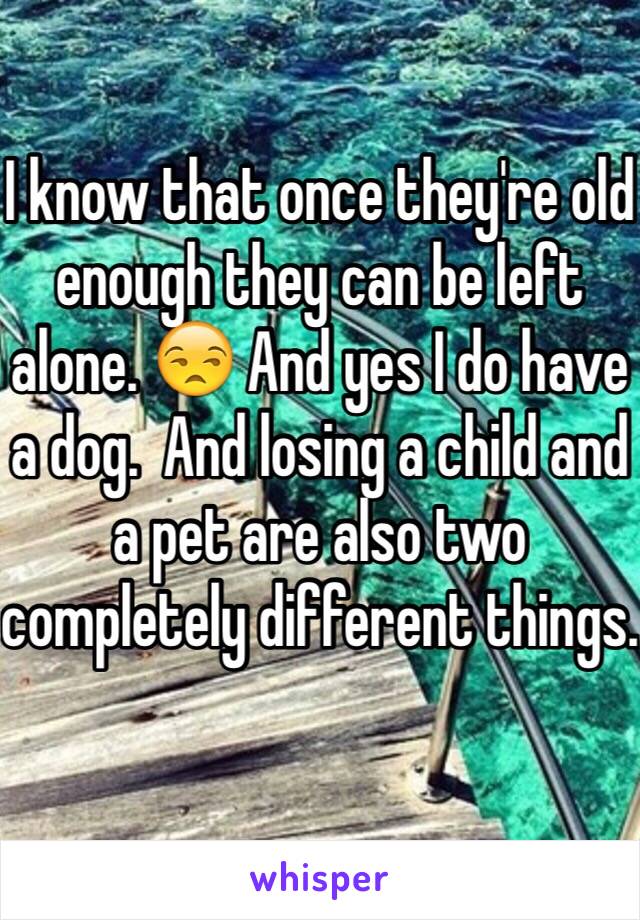 I know that once they're old enough they can be left alone. 😒 And yes I do have a dog.  And losing a child and a pet are also two completely different things. 