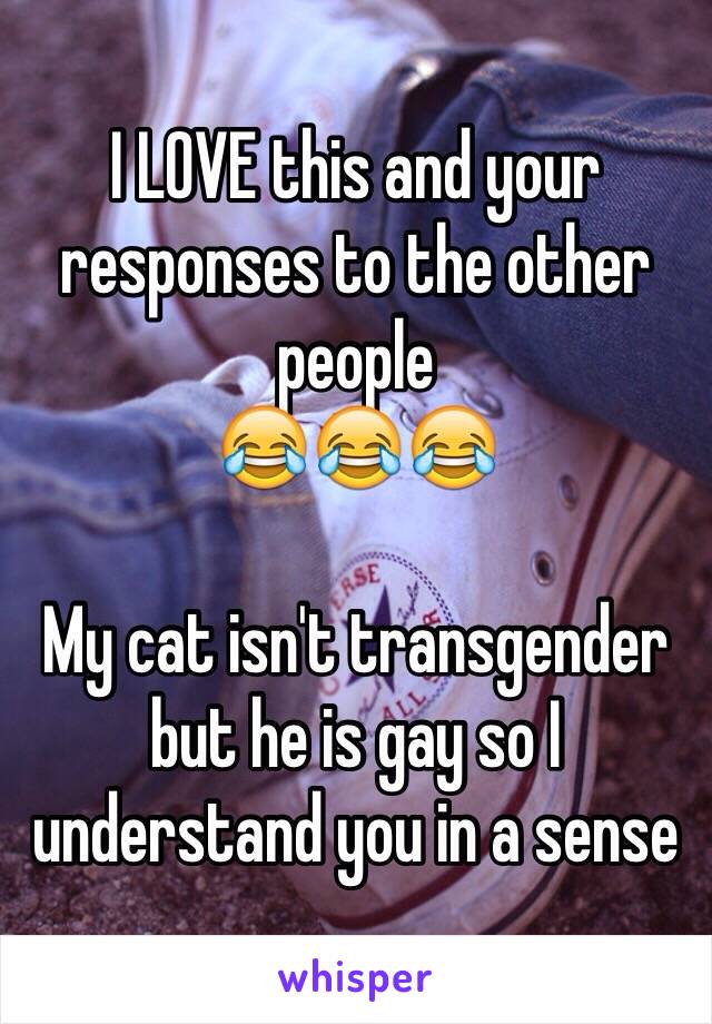 I LOVE this and your responses to the other people 
😂😂😂

My cat isn't transgender but he is gay so I understand you in a sense