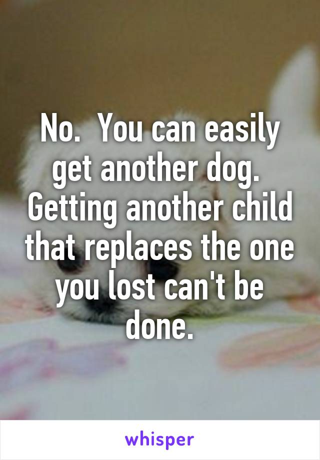 No.  You can easily get another dog.  Getting another child that replaces the one you lost can't be done.