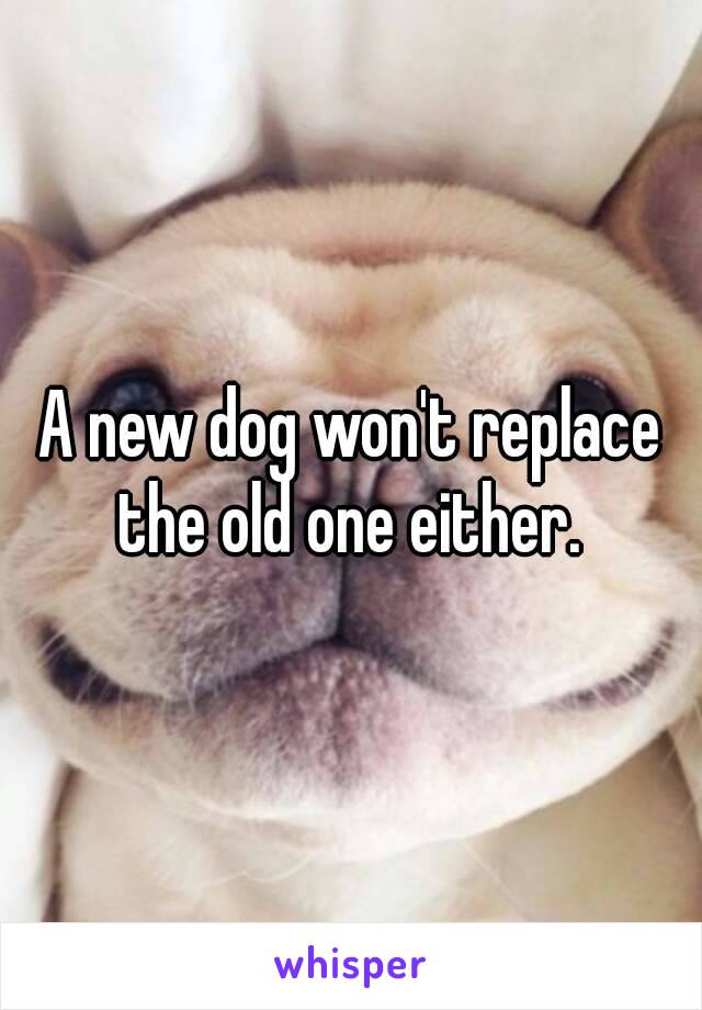 A new dog won't replace the old one either. 