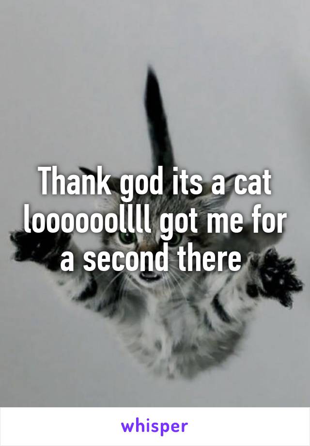 Thank god its a cat loooooollll got me for a second there 