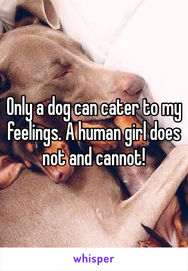 Only a dog can cater to my feelings. A human girl does not and cannot!