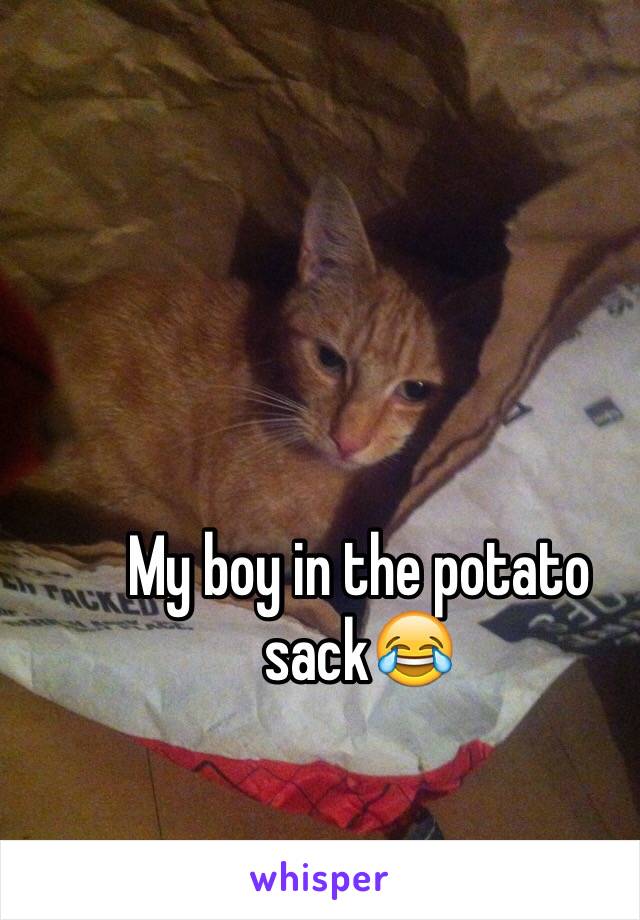 My boy in the potato sack😂