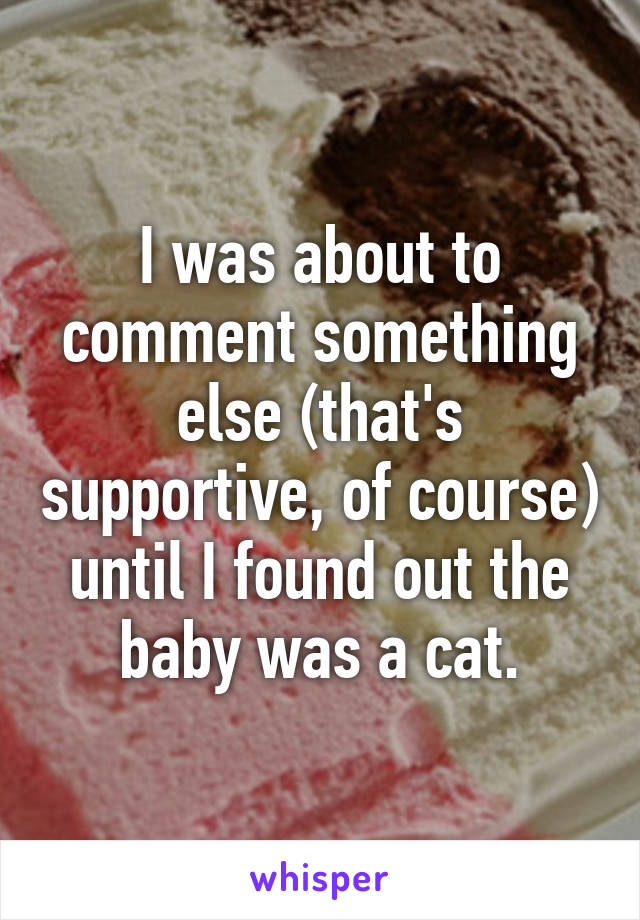 I was about to comment something else (that's supportive, of course) until I found out the baby was a cat.