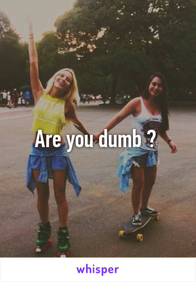 Are you dumb ? 