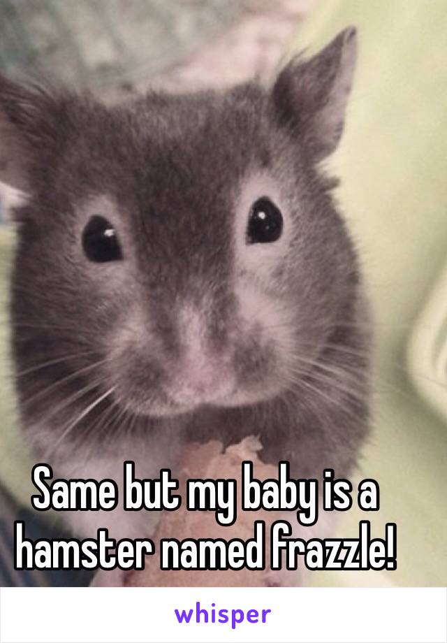 Same but my baby is a hamster named frazzle!