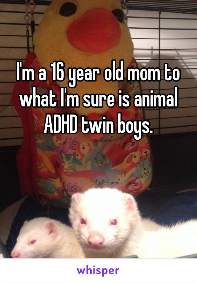 I'm a 16 year old mom to what I'm sure is animal ADHD twin boys.