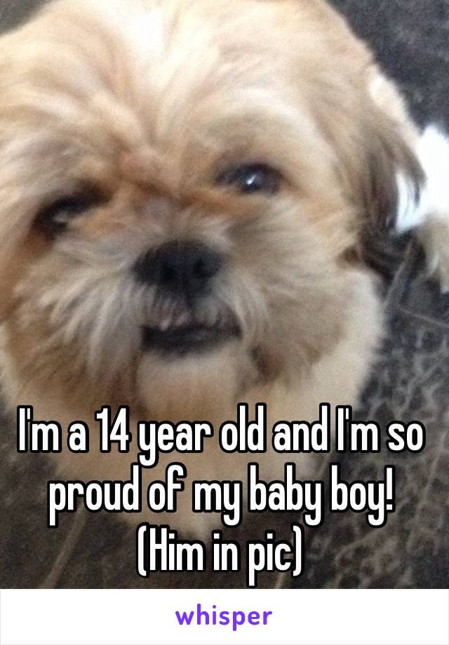 I'm a 14 year old and I'm so proud of my baby boy!
(Him in pic)