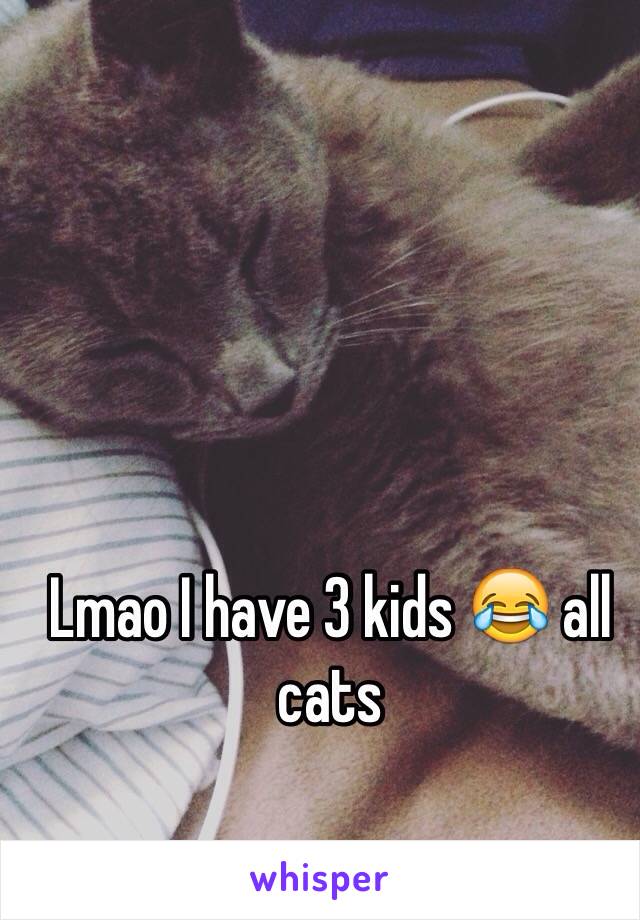 Lmao I have 3 kids 😂 all cats 