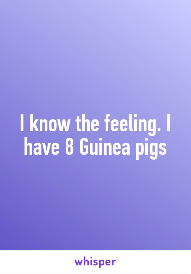 I know the feeling. I have 8 Guinea pigs