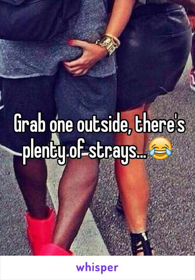  Grab one outside, there's plenty of strays...😂