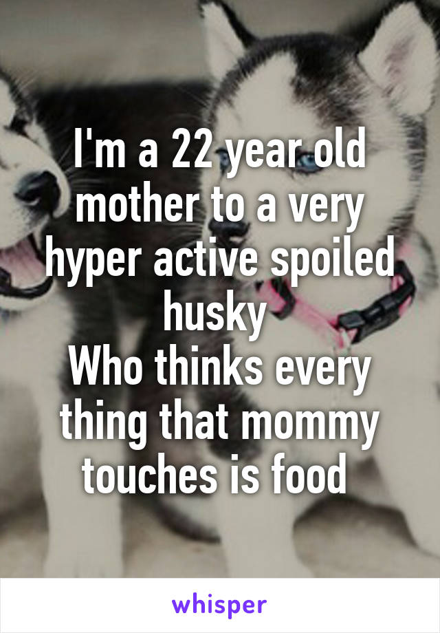 I'm a 22 year old mother to a very hyper active spoiled husky 
Who thinks every thing that mommy touches is food 